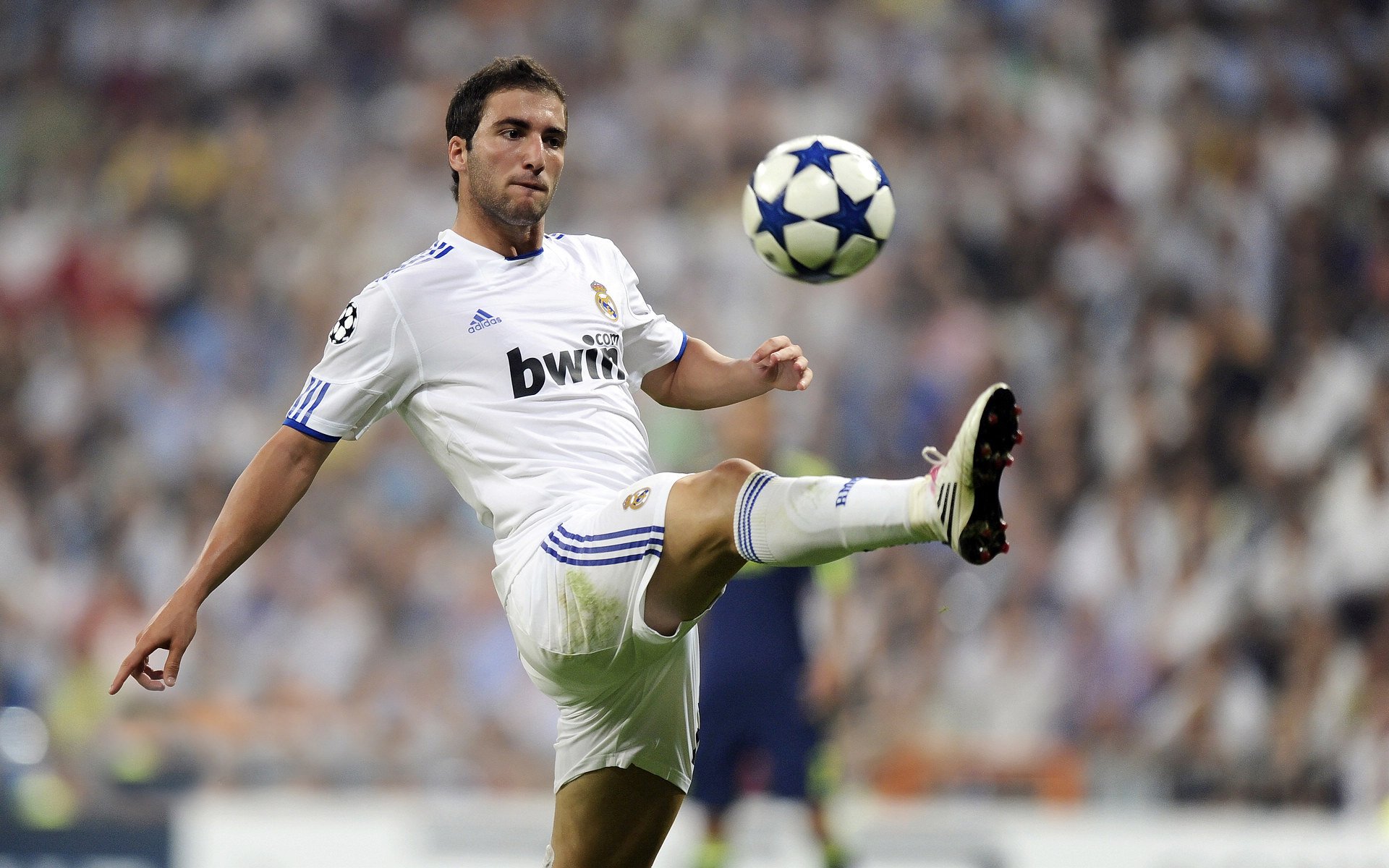 爱游戏体育官网-赛道上的独舞，范弗利特如何主宰F1年度争冠之夜